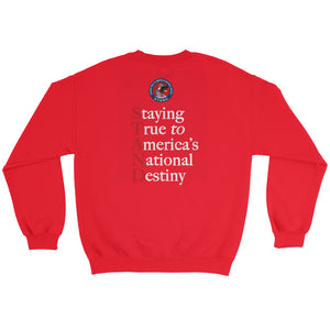 STAND- 2nd Amendment Plain Sweatshirt